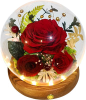 Everlasting Real Rose Enchanted Dome