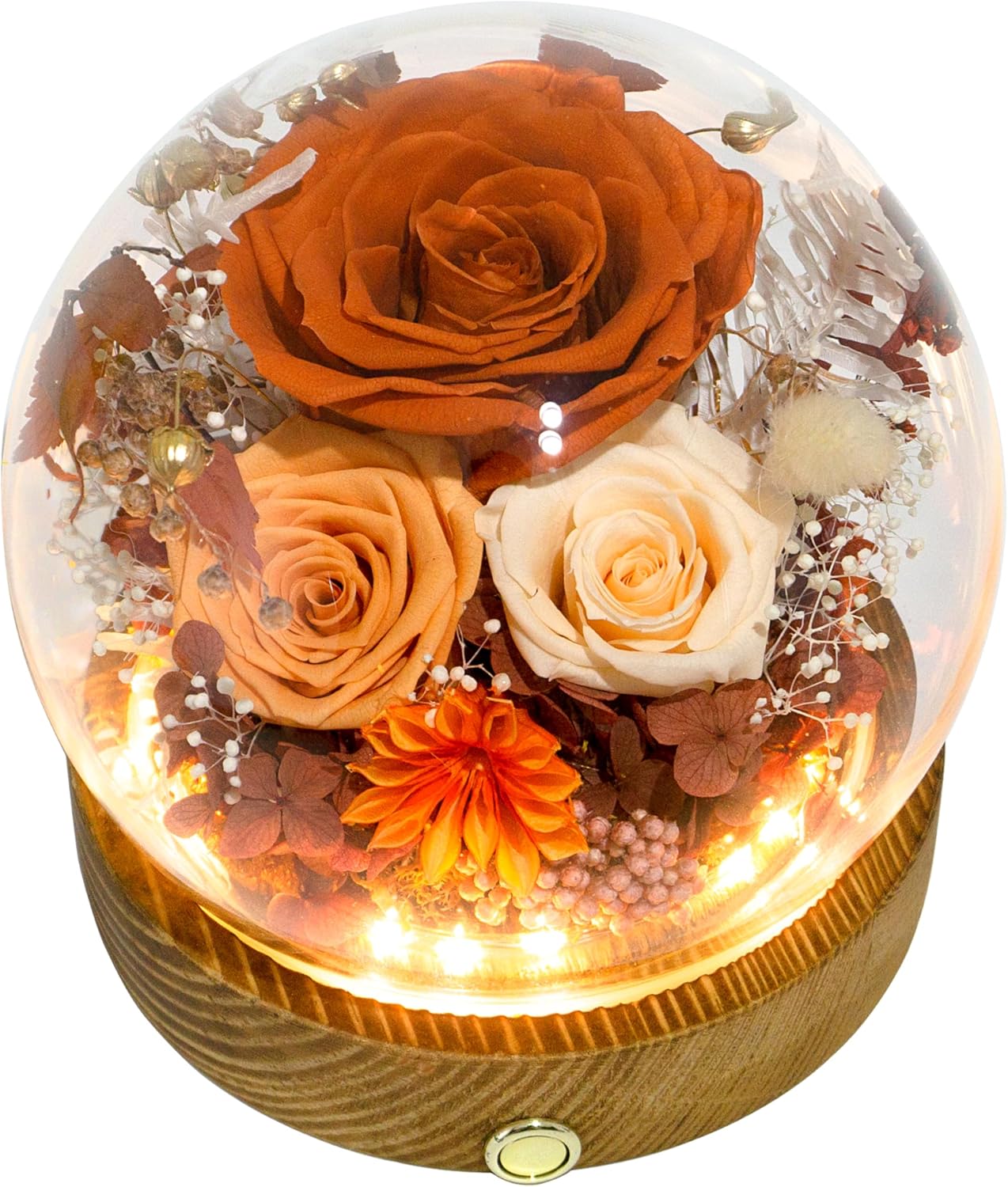 Everlasting Preserved Rose LED Dome