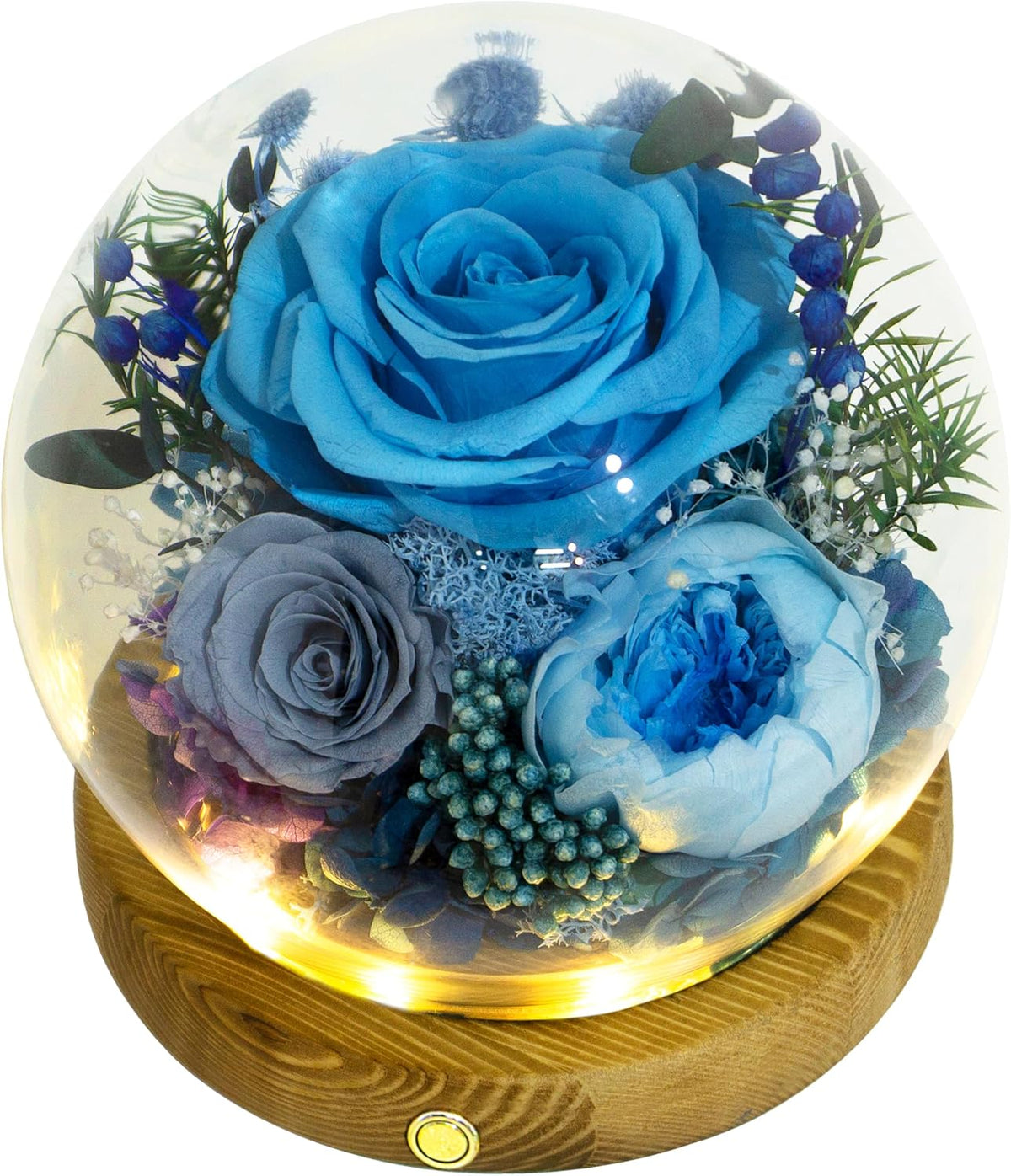 Everlasting Preserved Rose LED Dome