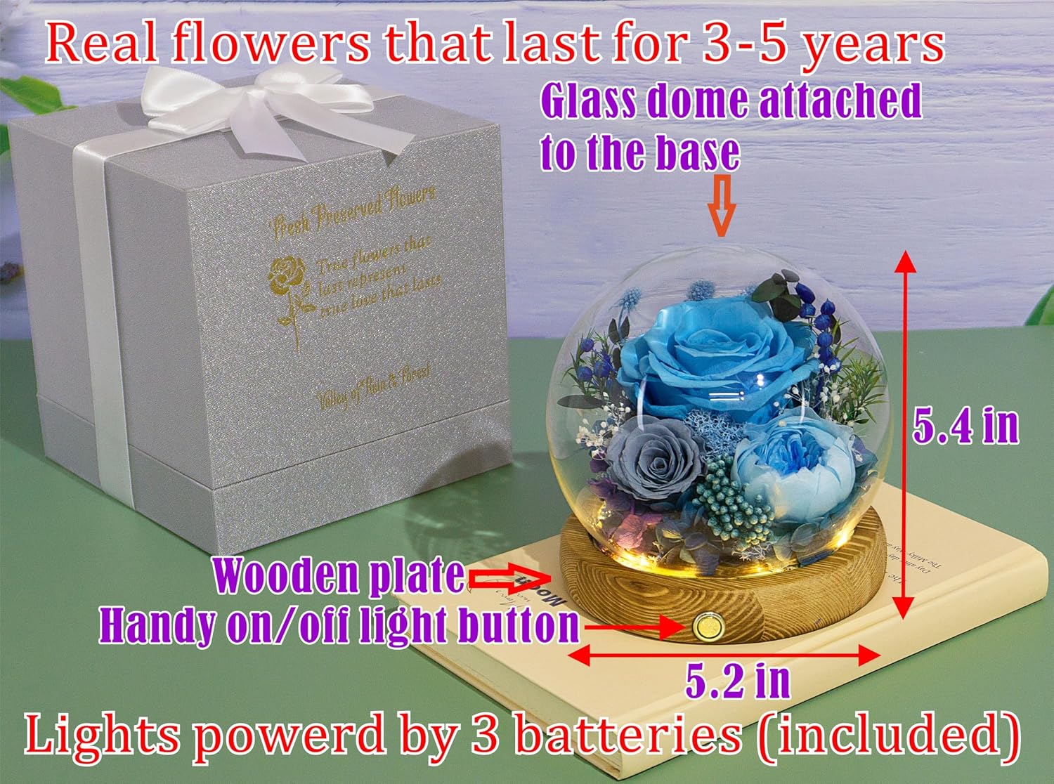 Everlasting Preserved Rose LED Dome