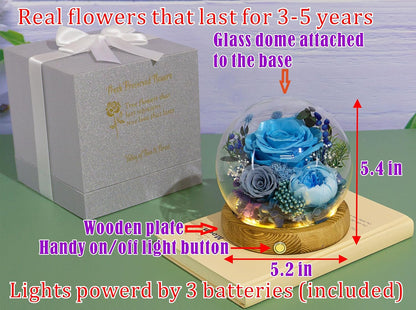 Everlasting Preserved Rose LED Dome