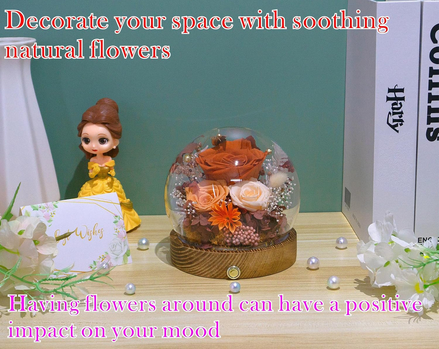 Everlasting Preserved Rose LED Dome