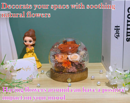 Everlasting Preserved Rose LED Dome