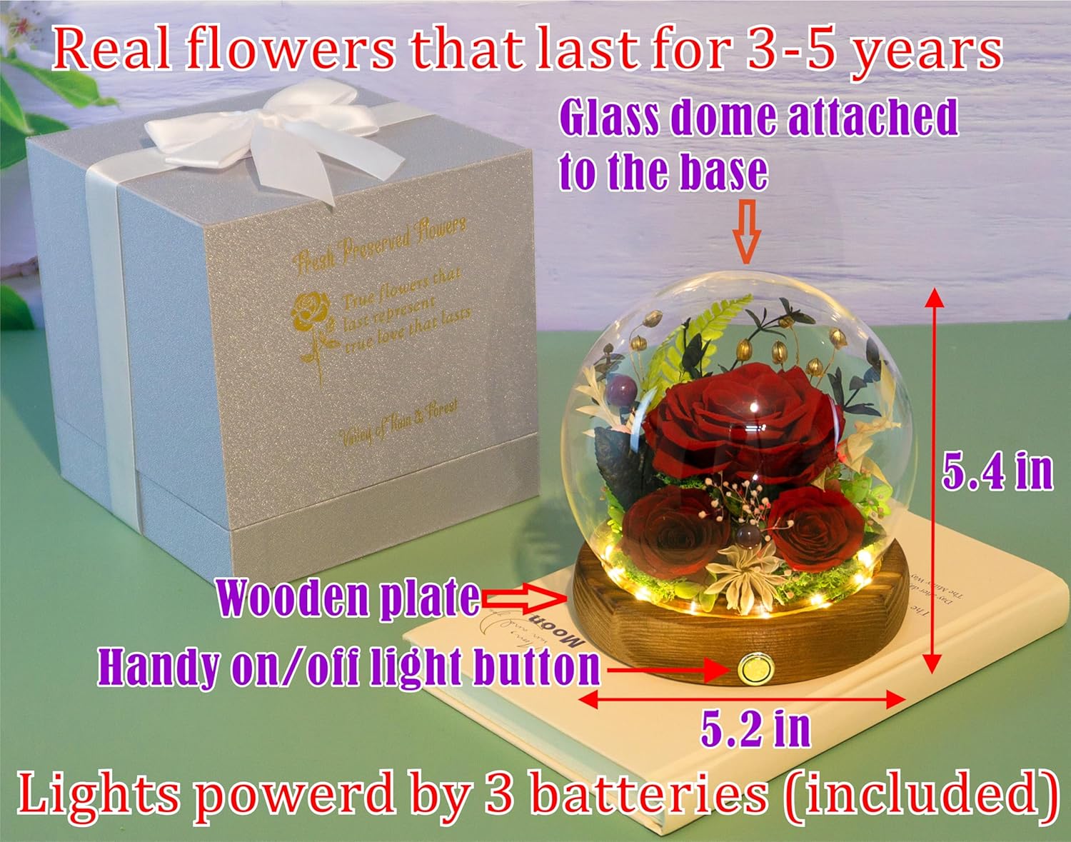 Everlasting Real Rose Enchanted Dome