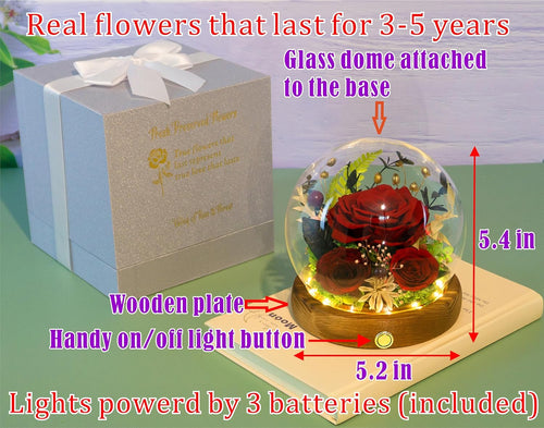 Everlasting Real Rose Enchanted Dome