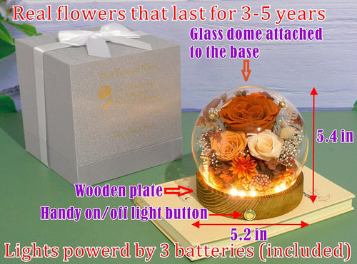 Everlasting Preserved Rose LED Dome