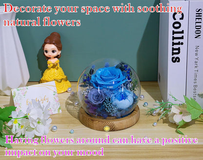 Everlasting Preserved Rose LED Dome
